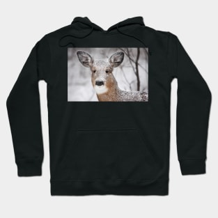 I hate snow! - White-tailed Deer Hoodie